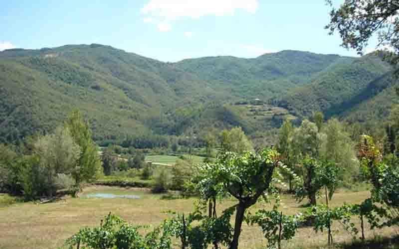Villa Il Corniolo Морра Экстерьер фото